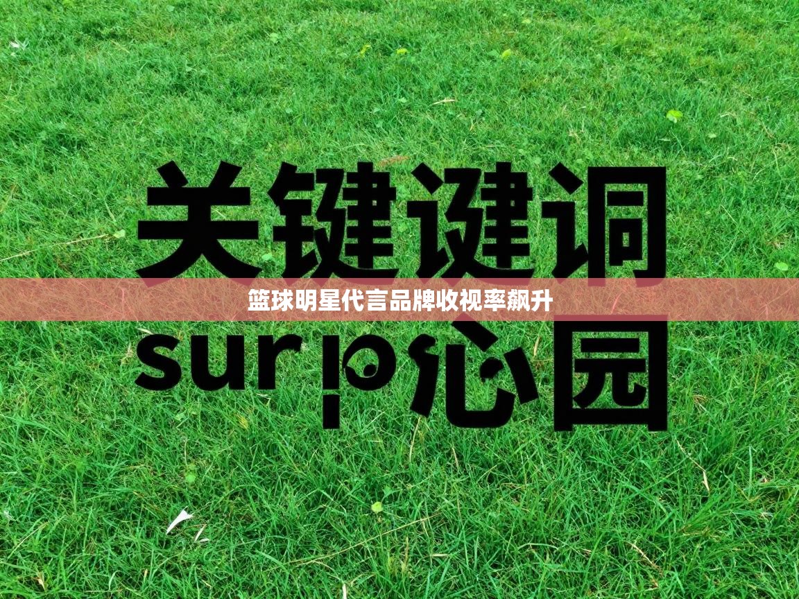 篮球明星代言品牌收视率飙升  第2张