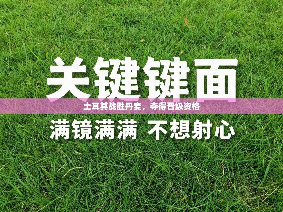 土耳其战胜丹麦，夺得晋级资格  第1张